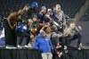 Winnipeg Blue Bombers celebrate after their Grey Cup win In Winnipeg on Wednesday. THE CANADIAN PRESS/John Woods