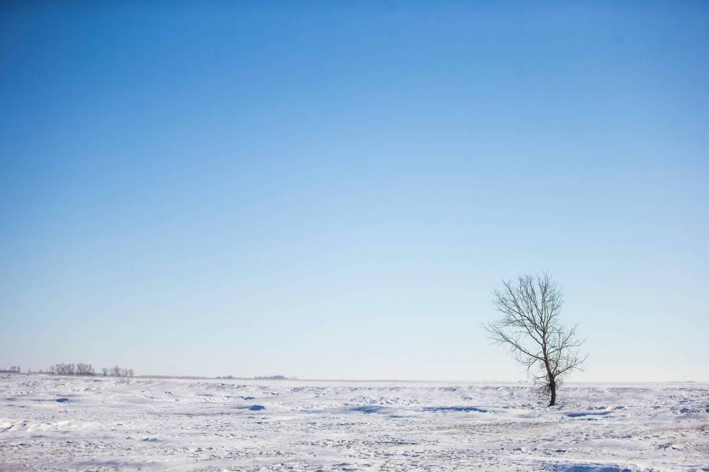 MIKAELA MACKENZIE / WINNIPEG FREE PRESS FILES
Snowy fields near the Canada-US border about 10km east of Emerson. An Indian family of four, believed to be part of a larger group of people trying to enter the country, froze to death on the Canadian side of the border.