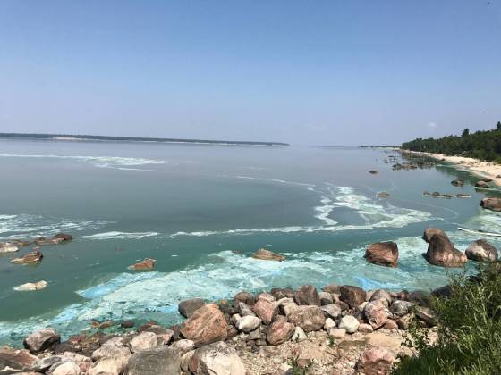 KRISTIE PEARSON PHOTOAlgae covers Lake Winnipeg in 2017.