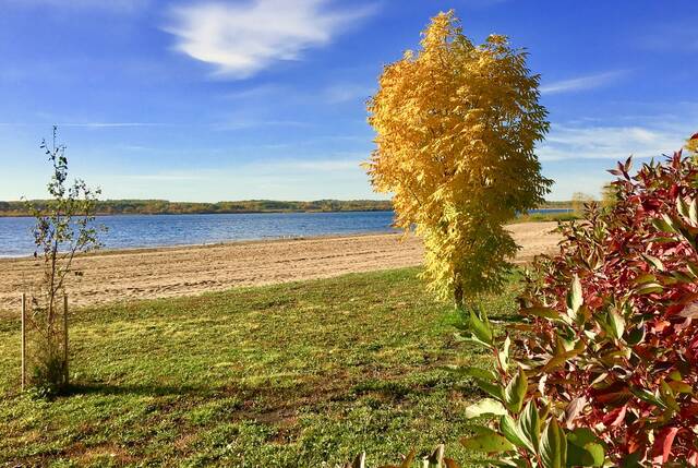(Gord Mackintosh / Winnipeg Free Press) It’s easy to fall for fall at Rivers Provincial Park.