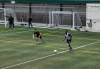 JESSICA LEE / WINNIPEG FREE PRESS
Andrew Jean-Baptiste practises with his Valour FC teammates.