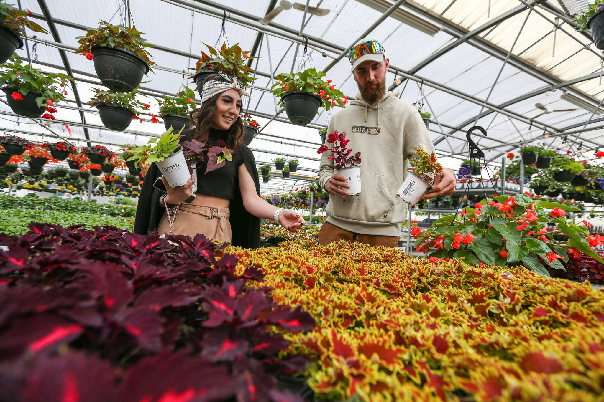 Garden centres in bloom Winnipeg Free Press