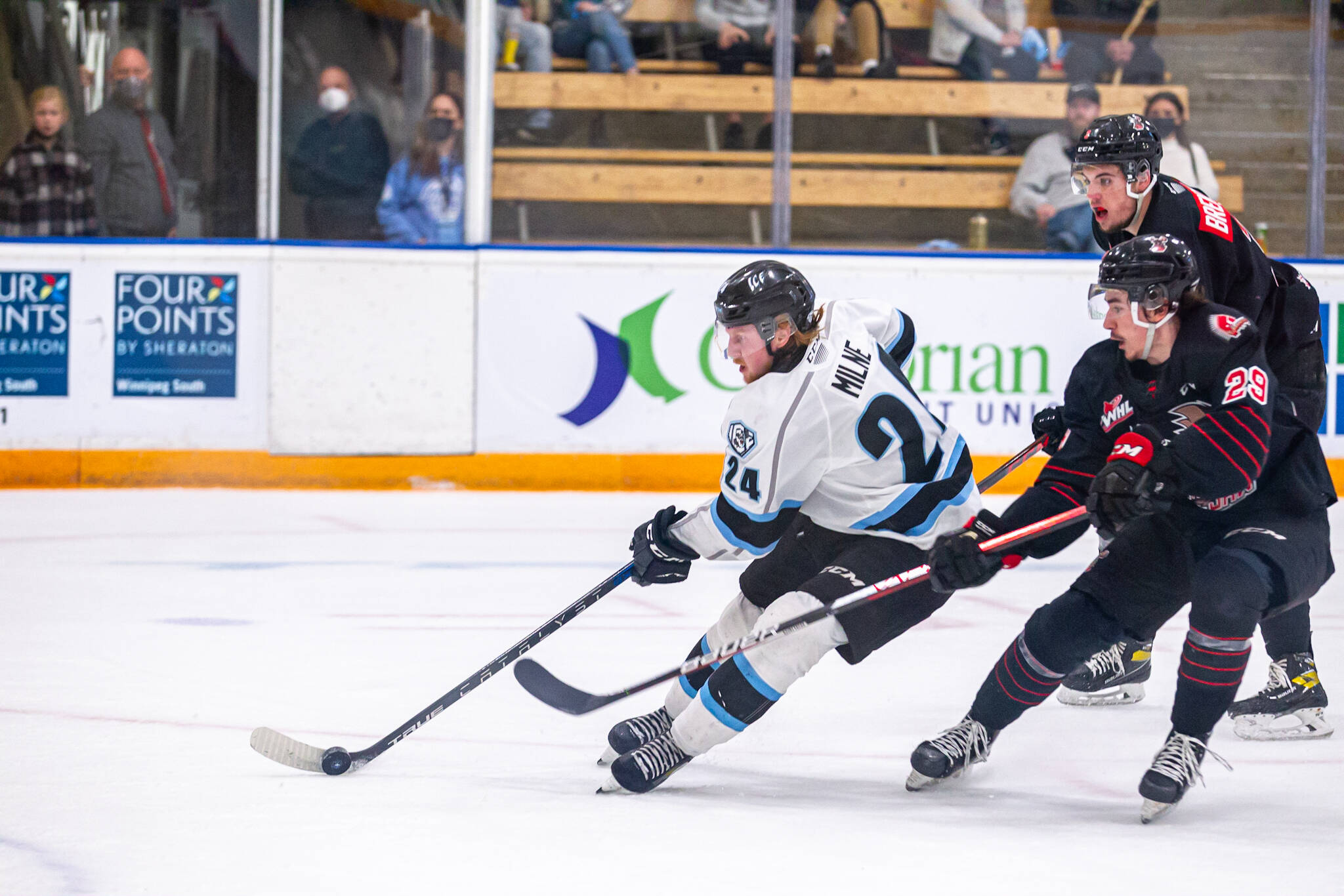 Ice eliminate Warriors Winnipeg Free Press