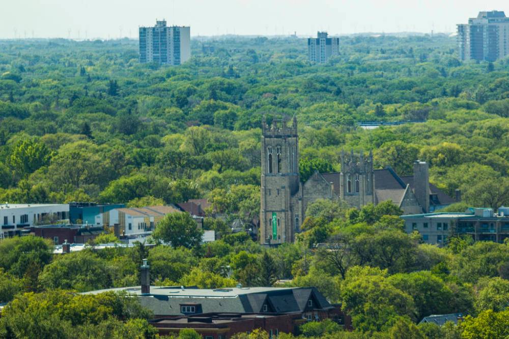 MIKAELA MACKENZIE / WINNIPEG FREE PRESS FILES
According to Trees Please Winnipeg coalition Winnipeg’s urban tree canopy is disappearing at an alarming rate.