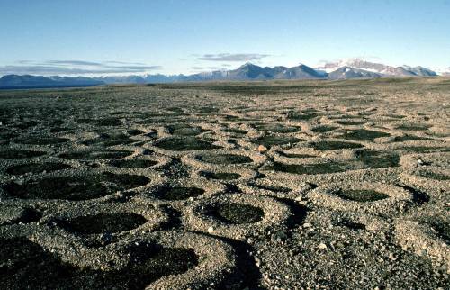 Dr. Mark A. Kessler / The New York Times
The island of Spitsbergen in the Arctic is the setting for Nathaniel Ian Miller’s debut, a fictional memoir.