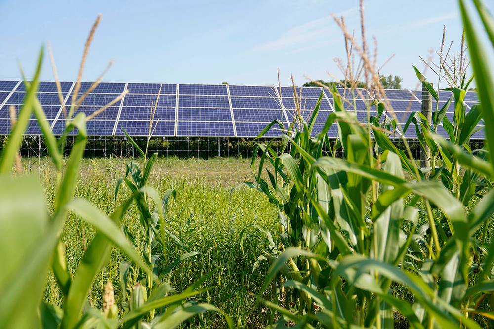 Jim Mone / The Associated Press Files
Low-iron silica is a base component of glass used for solar panels.