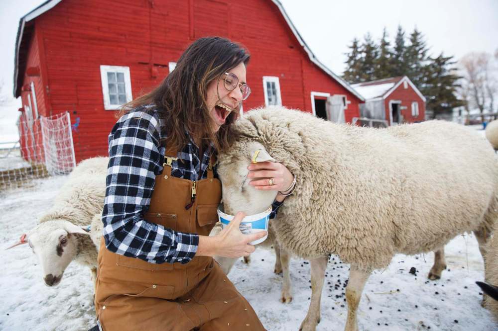 Sheep farmer Christel Lanthier and Guillmauve (a.k.a. Boss). The farm aims for sustainability, which includes a zero-waste Christmas. (Mike Deal / Winnipeg Free Press)