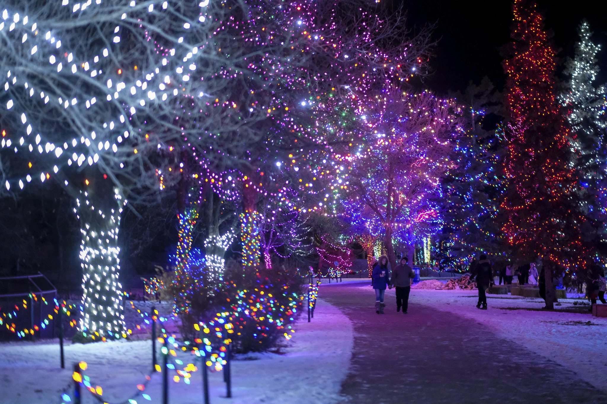 Stars of wonder Winnipeg Free Press