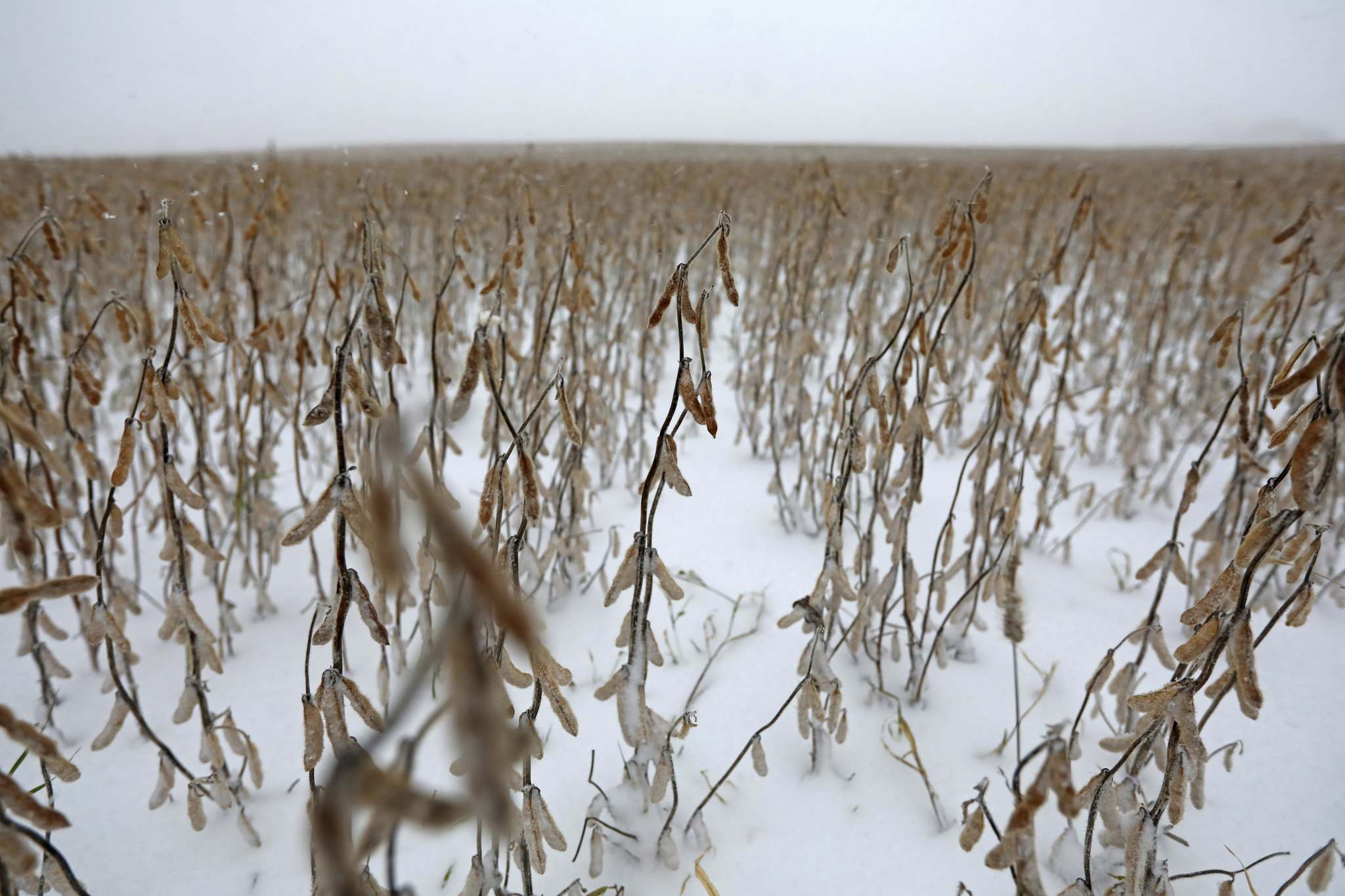 Signs of winter keep snowmobiles off farm fields Winnipeg Free Press