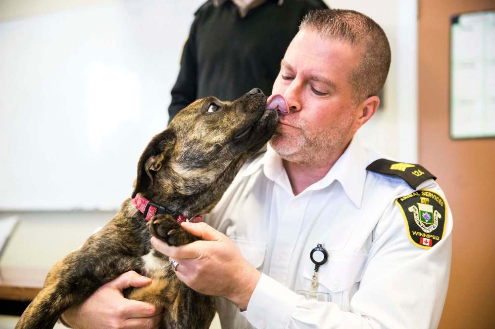 Leland Gordon, CEO of Winnipeg Animal Services, and Gemma share a moment. (Mikaela MacKenzie / Winnipeg Free Press)