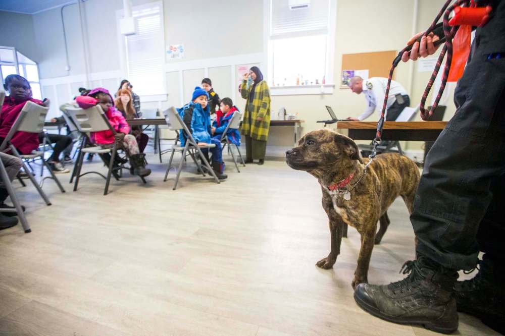 Austin Olek, animal resources officer, and dog Gemma visit the NEEDS class to introduce dogs and pet ownership to the newcomers. (Mikaela MacKenzie / Winnipeg Free Press)