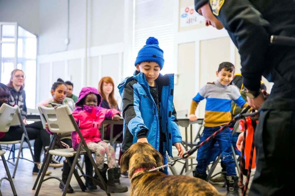 Rami, six, pets Gemma. (Mikaela MacKenzie / Winnipeg Free Press)