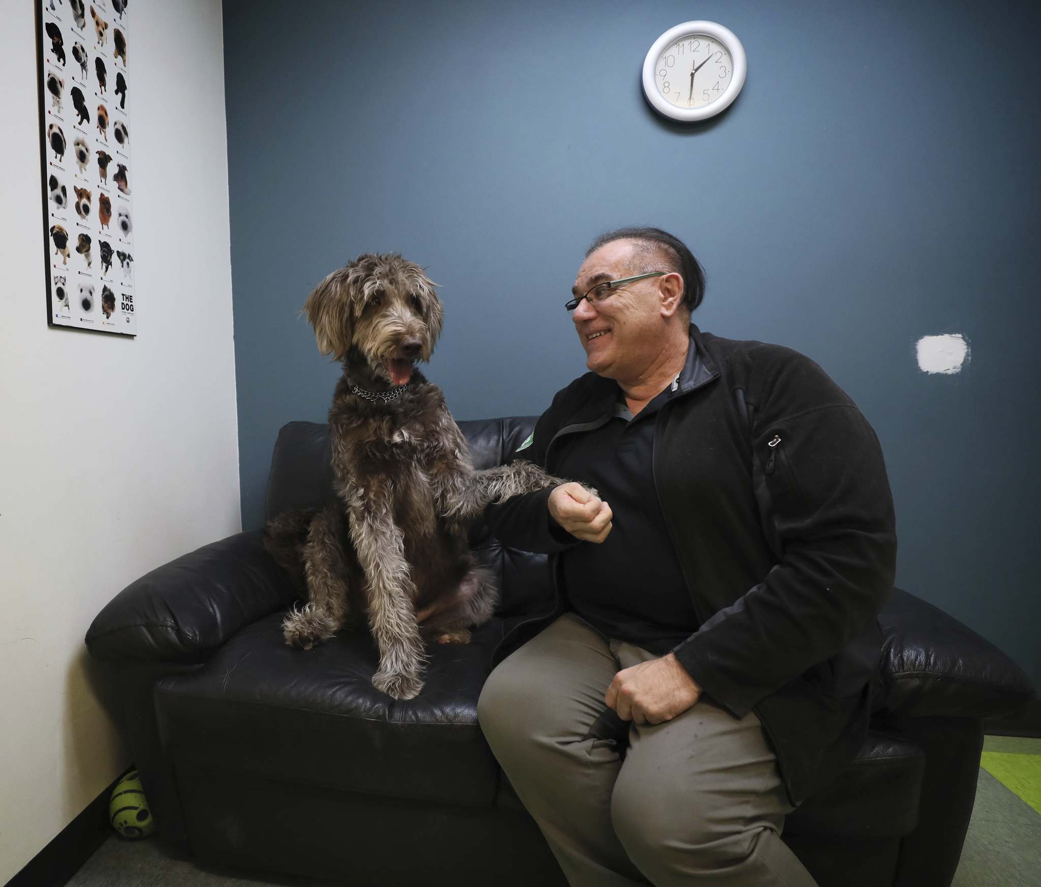 Virus takes toll on animal shelters as volunteer numbers, donations