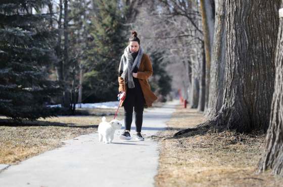 RUTH BONNEVILLE / WINNIPEG FREE PRESSJen Zoratti walks her dog Samson in River Heights.