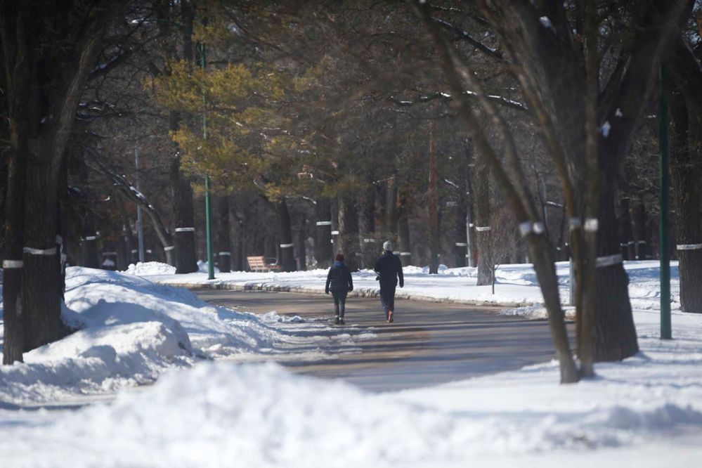 Wellington Crescent was one of four streets closed to vehicles earlier this month. (John Woods / Winnipeg Free Press files)