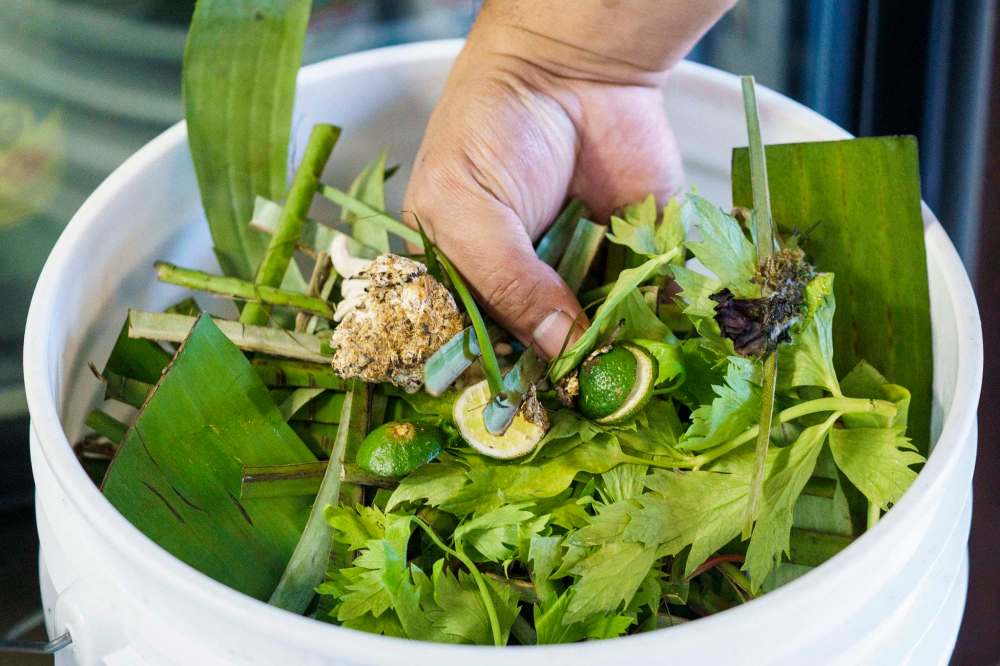 City puts out tender for curbside compostpickup pilot program to begin in fall Winnipeg Free