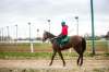 MIKAELA MACKENZIE / WINNIPEG FREE PRESS
Antonio Whitehall rides Reasonable Cause at Assiniboia Downs. The track opens for thoroughbred racing on Monday, though there will be no fans in the stands.