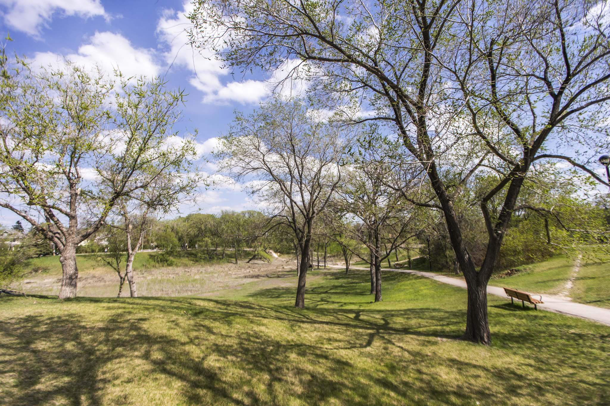 Prime picnic places Winnipeg Free Press