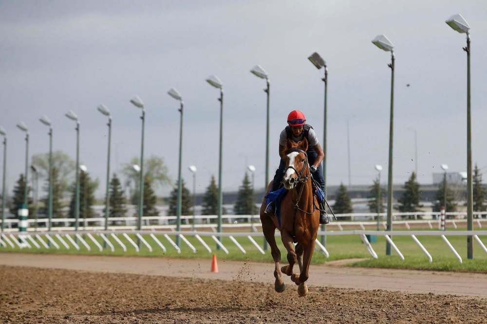 Jockey Richard Mangalee rides the track at Assiniboia Downs Sunday. He said the silence at the Downs ‘might be a little better for the horses.’ (John Woods / Winnipeg Free Press)