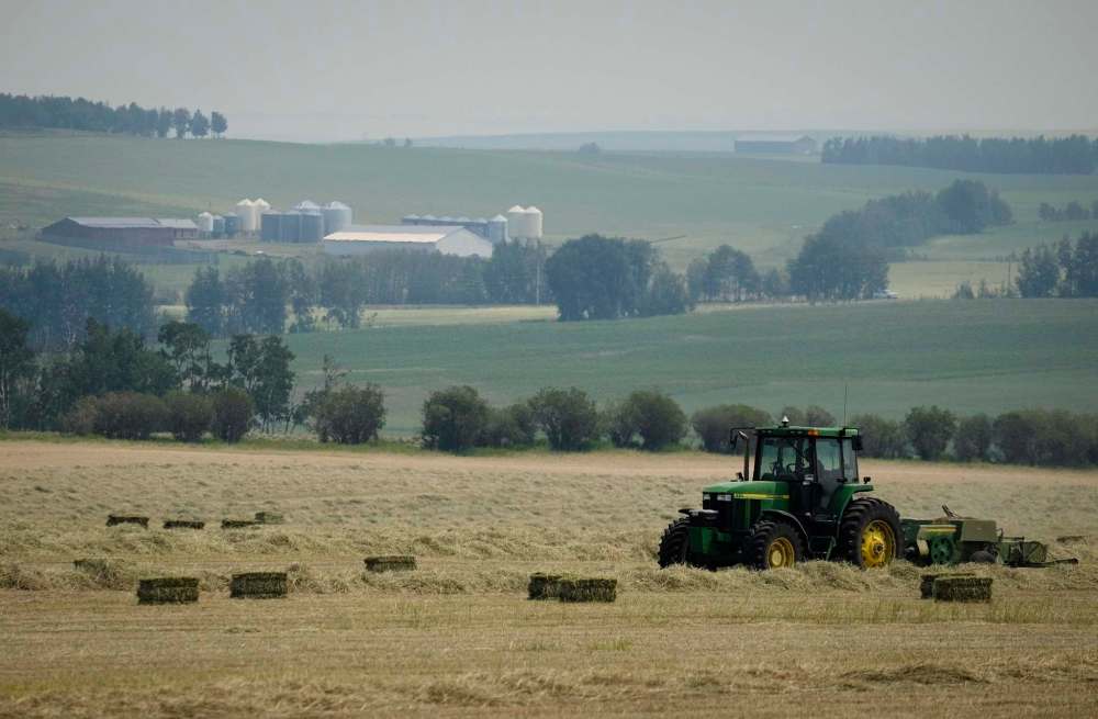FREE PRESS FILES
Agriculture Minister Marie-Claude Bibeau said last month she needs farmers to apply for aid programs in order to get her colleagues on board with putting up more funding for the industry, which sits outside the Liberals’ urban base.