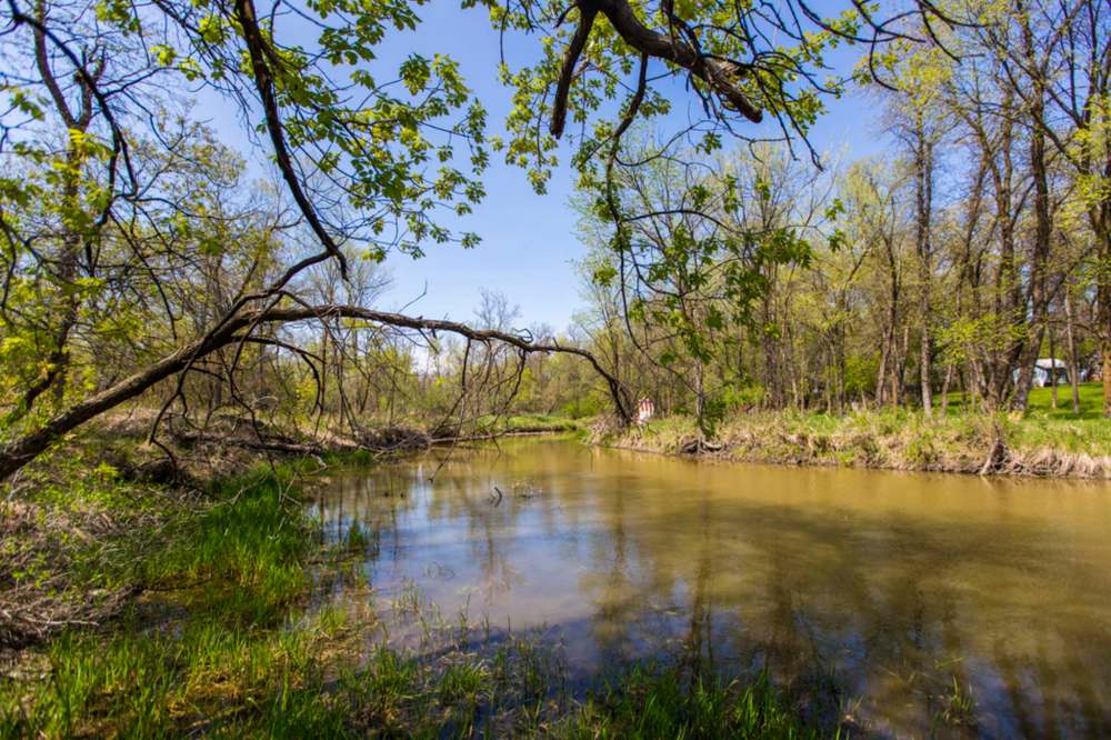 MIKAELA MACKENZIE / WINNIPEG FREE PRESS
The Seine (above) and La Salle rivers corridors have been given priority designation by the City of Winnipeg for parks and natural areas it want designated as protected lands.