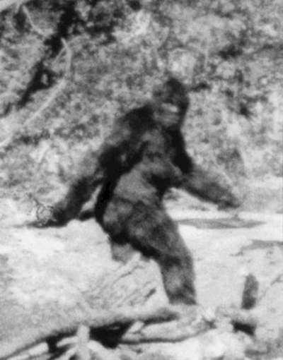 The latest novel by World War Z author Max Brooks (right) sees a community grapple with famished Sasquatch after a cataclysmic seismic event.