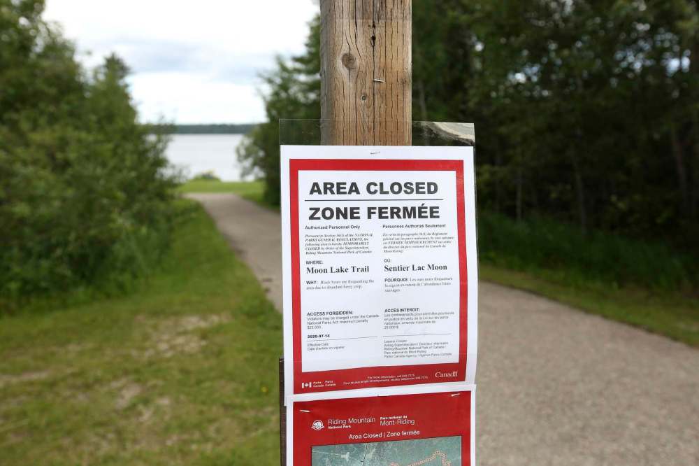(Tim Smith/The Brandon Sun)
The Moon Lake Trail in Riding Mountain National Park is closed after a woman was attacked by a black bear.