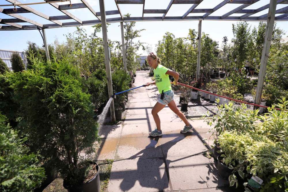RUTH BONNEVILLE / WINNIPEG FREE PRESS
Jan DuBois waters trees and shrubs in the landscaping area at the Ron Paul Garden Centre.