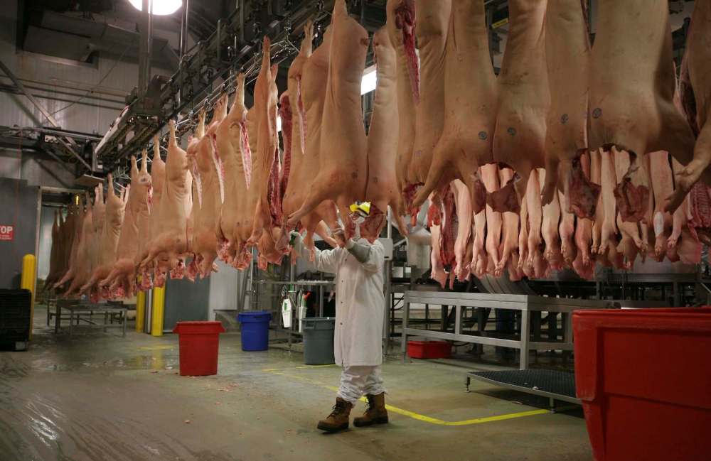 Bruce Bumstead / Brandon Sun files
The Maple Leaf plant in Brandon has 70 employees who have tested positive for the virus but the province says it has found no evidence of workplace transmission.