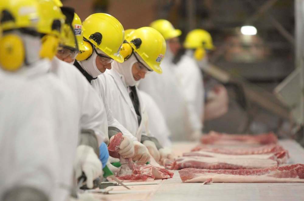 Four of the new cases in Brandon are people employed at the Maple Leaf Foods Inc. hog processing plant, reported Local 832 of the United Food and Commercial Workers Union, which represents them. (Bruce Bumstead / Brandon Sun files)