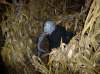 SUPPLIED
A Maze in Corn’s Haunted Forest runs Thursday, Friday and Saturday.
