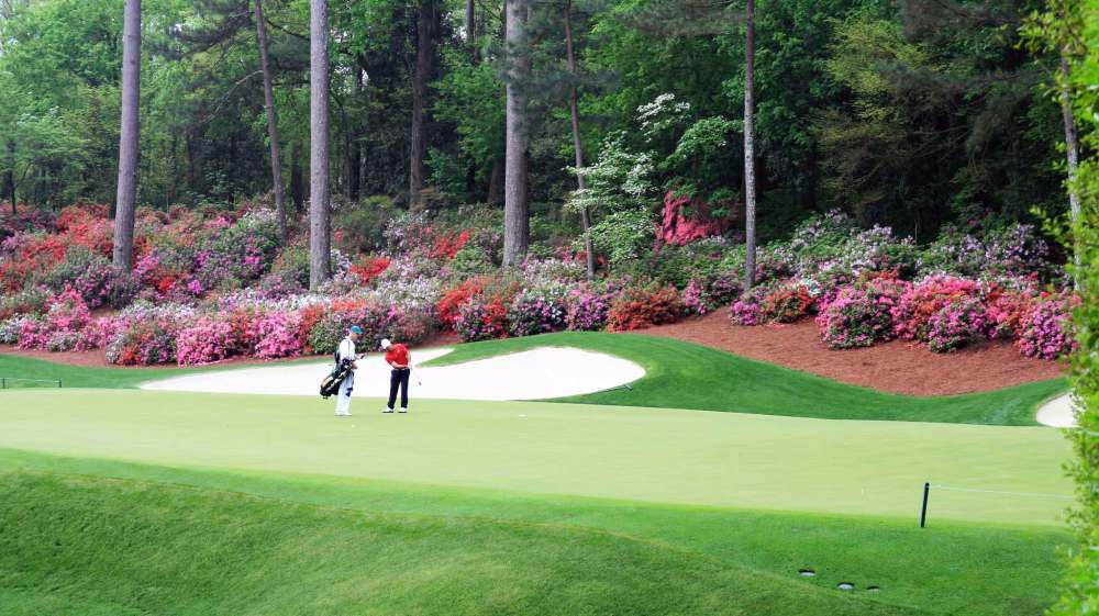Sean McNamara
A gardener’s dream: rhododendrons and azaleas in bloom at the Augusta National Golf Club.