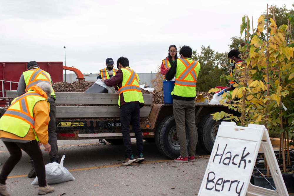 Rosanna Hempel / Winnipeg Free Press
Volunteers bag mulch at the planting program pick-up.