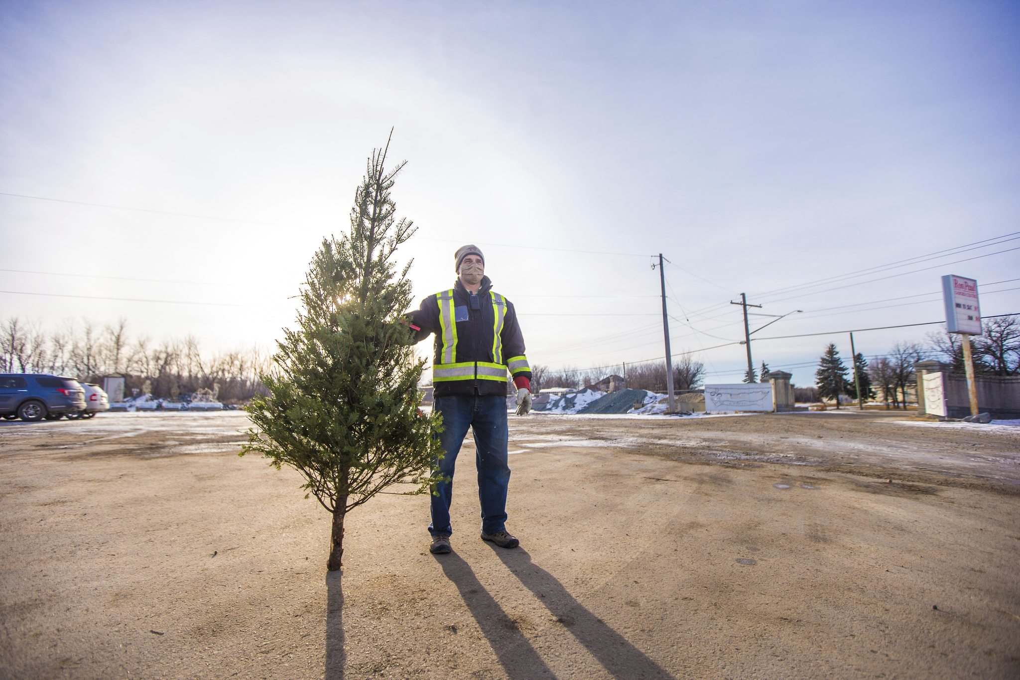 No Christmas trees, no Christmas trees — the lots are empty as can be