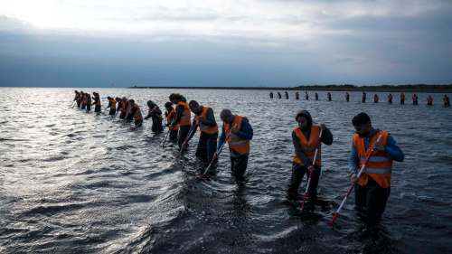 HBO
The limited miniseries The Investigation is about the 2017 murder of Swedish journalist Kim Wall.