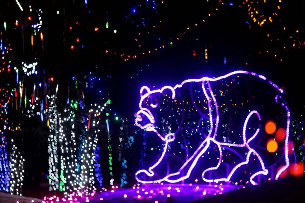 Zoo switches on night light show Winnipeg Free Press