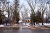 Trees separating the Kings Drive property from the main thoroughfare, some of which might need to be removed for the development to occur (below), have proved to be a sticking point for the condo project. (Mike Sudoma / Winnipeg Free Press)