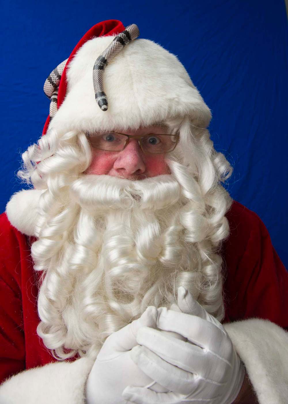 DAVID LIPNOWSKI / WINNIPEG FREE PRESS files
Doug Speirs, dressed as Santa Paws, holds a milk snake, Bones, on his head.