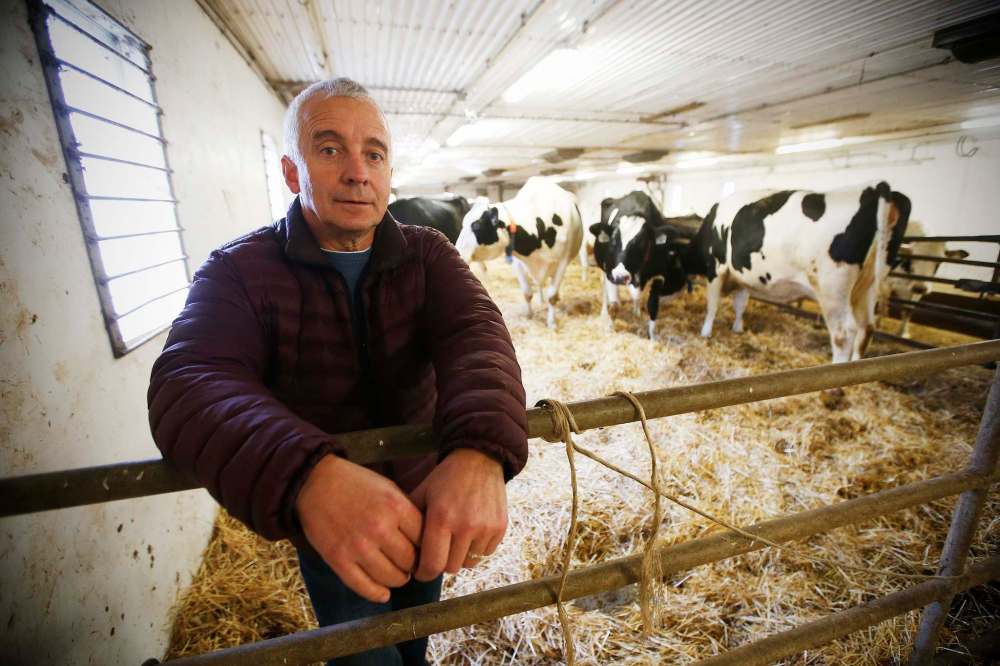 JOHN WOODS / WINNIPEG FREE PRESS FILES
David Wiens, chairman of the Diary Farmers of Manitoba and vice president of The Diary Farmers of Canada.