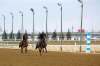 Horses and riders were out for some early morning training on the Assiniboia Downs track last week. Racing is set to begin on May 17. (Mike Deal / Winnipeg Free Press)