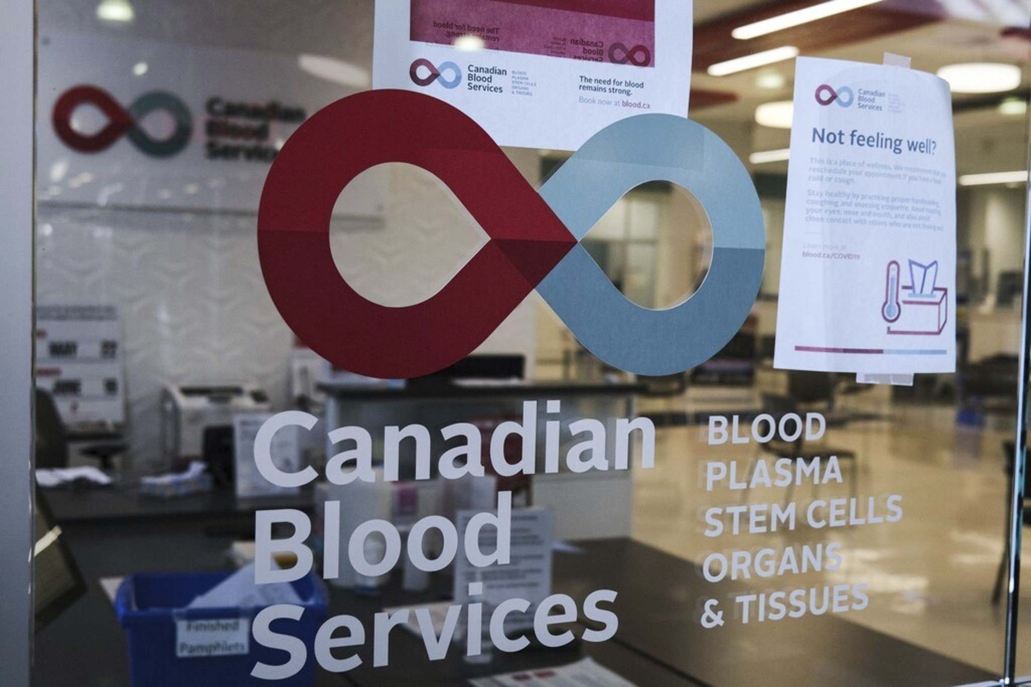 Manitoba blood samples show high levels of COVID19 antibodies Winnipeg Free Press