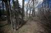 JOHN WOODS / WINNIPEG FREE PRESS
The city has rejected a proposal to cut down 80 trees at 80 Kings Dr., the site of a proposed multi-residence development.
