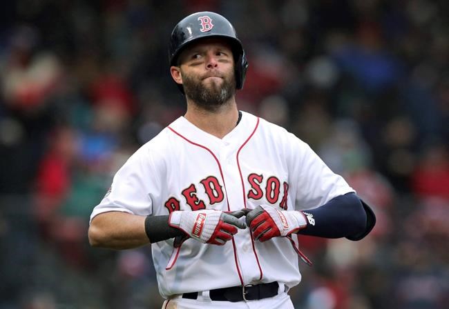 FILE - In this Tuesday, April 9, 2019 file photo, Boston Red Sox's Dustin Pedroia takes off his gloves after lining out to right field to end the sixth inning of the home opener baseball game against the Toronto Blue Jays in Boston. Red Sox second baseman Dustin Pedroia had what the team called a