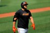 FILE - In this Friday, July 3, 2020, file photo, Baltimore Orioles' Chris Davis walks away after after batting during baseball training camp in Baltimore. (AP Photo/Julio Cortez, File)