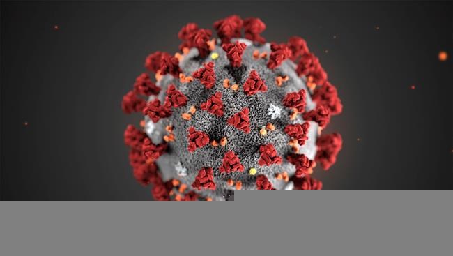 This illustration provided by the Centers for Disease Control and Prevention in January 2020 shows the 2019 Novel Coronavirus (2019-nCoV). This virus was identified as the cause of an outbreak of respiratory illness first detected in Wuhan, China. (CDC via AP)