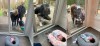 This combination of photos shows Suzy and Ricky Stone visiting with their granddaughter Gigi Guyuron through a window of their daughter Jen Guyuron’s home on April 18, 2020, in Cleveland, Ohio, left, Guyuron's brother Bryan Stone visiting on March 21, 2020, center, and Jen Charet and Jason Charet visiting with Gigi on April 23. Pregnancy, birth and life with a newborn in the middle of a pandemic has brought on high anxiety, ever-shifting hospital protocols and intense isolation for many of the millions of women who have done it around the world. (Jen Guyuron via AP)