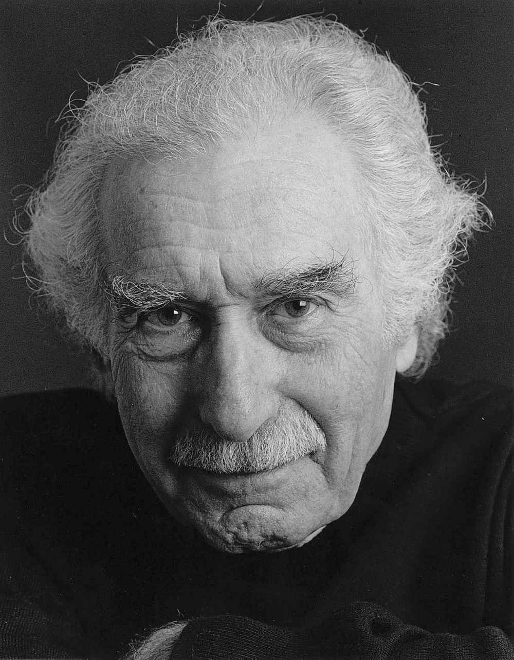 Toronto actor Paul Soles voiced the lead role in the original