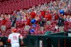 Members of the Cincinnati Reds' grounds crew react as Reds' Joey Votto runs the bases after hitting a two-run home run during the first inning of the team's baseball game against the Milwaukee Brewers in Cincinnati, Wednesday, Sept. 23, 2020. (AP Photo/Aaron Doster)