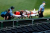 Pittsburgh Pirates' Phillip Evans is taken from the field on a stretcher after he collided with Gregory Polanco along the right field fence while chasing a fly ball hit by Detroit Tigers' Miguel Cabrera during the sixth inning of a baseball game Saturday, Aug. 8, 2020, in Pittsburgh. Polanco stayed in the game. (AP Photo/Keith Srakocic)
