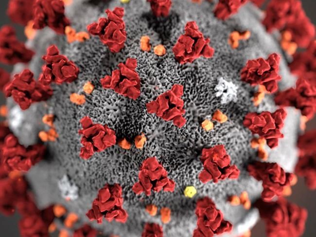 In this illustration provided by the Centers for Disease Control and Prevention (CDC) in January 2020 shows the 2019 Novel Coronavirus (2019-nCoV). This virus was identified as the cause of an outbreak of respiratory illness first detected in Wuhan, China. THE CANADIAN PRESS/CDC via AP, File